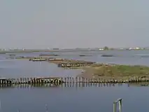 Valli di Comacchio
