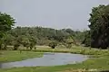 コモエ川と周辺の湿地