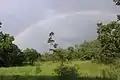 コモエ国立公園のサバンナ景観