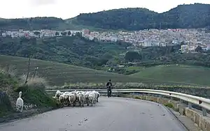 コンテッサ・エンテッリーナの風景