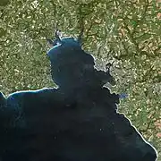 衛星写真