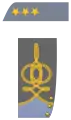Colonel (歩兵科)