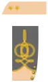 Lieutenant-Colonel (本部勤務員)