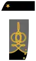 Major (衛生科)