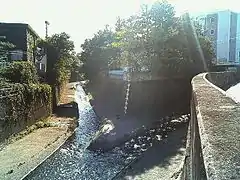2、善福寺川(右)との合流地点(東京都中野区)