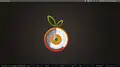 Ubuntuで動作するConky