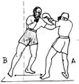 bolo punch