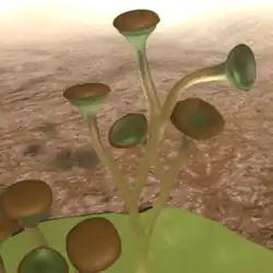 最古の地上植物クックソニア、茎の先に胞子嚢がある
