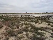 クーパー・クリーク