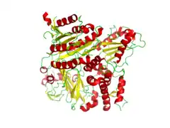 SNAREタンパク質Bet1（英語版）と複合体を形成したCOPIIタンパク質Sec24(PDB: 1PCX​)。