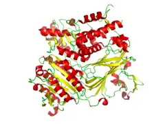SNAREタンパク質Sed5（英語版）と複合体を形成したCOPIIタンパク質Sec24(PDB: 1PD0​)。
