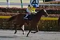 2014年ヒヤシンスS