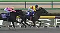 2015年フェブラリーS
