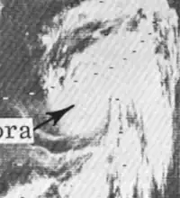 ニンバスによる衛星画像（1966年9月1日）