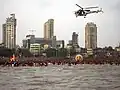 HALチェタック