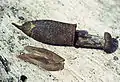 Couratari guianensis Aubl. の果実と種子