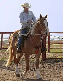 馬にのるカウボーイ（現代）