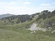 手前はクレ・ド・ラ・ネージュ。背後の山がル・ルキュレ。