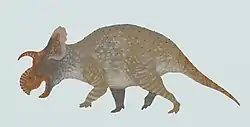 クリッテンデンケラトプス・クルジザノウスキーの生体復元図