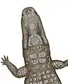 Crocodylus thorbjarnarsoni の復元画