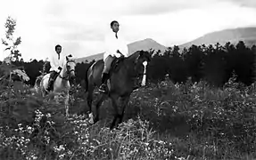 軽井沢の草原で乗馬を楽しむ明仁親王(手前)と正仁親王(奥)(1952年)