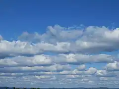 放射状積雲(cloud streets)