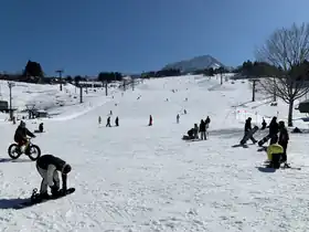 キューピットバレイ