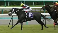 カレンチャン（2007年産）