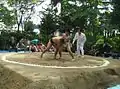 中学校新人相撲選手権大会