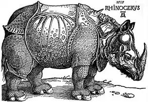 『犀』、1515年、木版画、ゲルマン国立博物館、ニュルンベルク