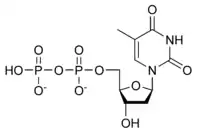 Chemical structure of deoxythymidine diphosphate
