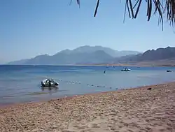 ダハブの海岸