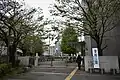 品川区立台場小学校（2019年10月18日撮影）