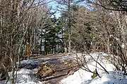 大菩薩峠方向から見た山頂