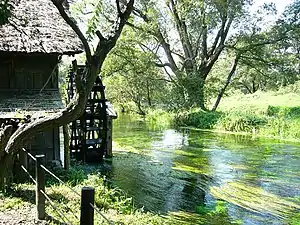 大王わさび農場(安曇野市)