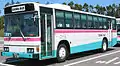 路線車（日野・ブルーリボン）空港連絡バス