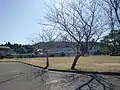 金峰町立大坂小学校