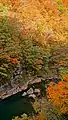 紅葉の渓谷（2020年11月）