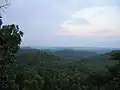 ダニエル・ブーン国立の森