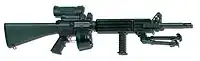 デンマーク軍のM16 LSW
