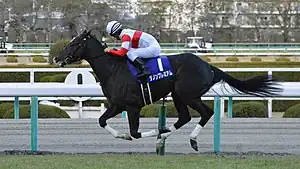 第69回優勝馬ダノンプレミアム