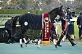 朝日杯表彰式