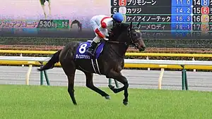 ダノンスマッシュ（2015年産）
