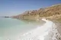 湖岸に堆積した塩