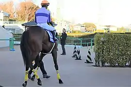 10:ディアセオリー