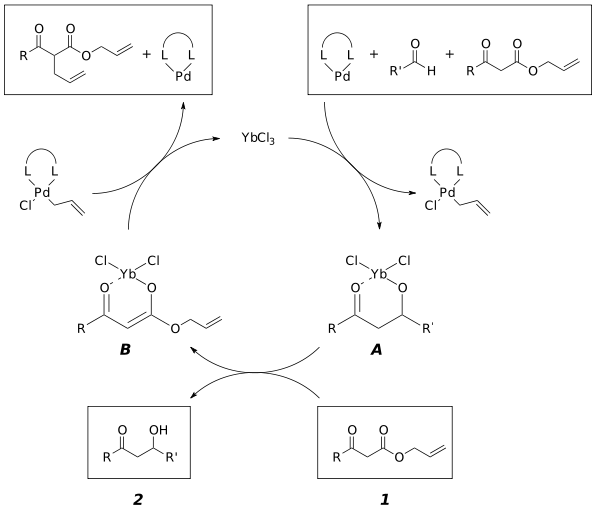 (Aldol reaction)