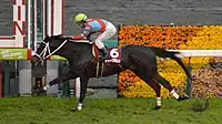 第69回優勝馬ディープボンド（鞍上：和田竜二）
