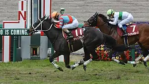 第70回優勝馬ディープボンド（鞍上：和田竜二）