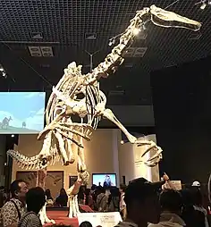 デイノケイルス・ミリフィクスの復元骨格