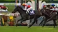 第22回優勝馬ディアドラ（鞍上、クリストフ・ルメール）